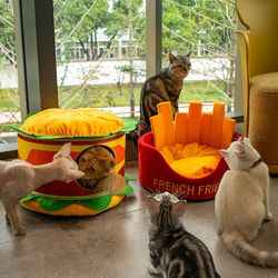 Luxurious Crystal Super Soft Velvet Cat Bed french fries and Hamburg Cat Bed