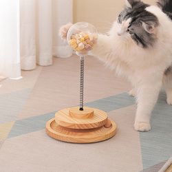 Pet Cat Educational Toy Leaking Ball