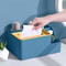 Multi functional Tissue Box with Remote Holder, Desk Organiser for Living Room, Kitchen, Office Plastic Storage