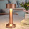 Rechargeable LED Table Lamp, Touch Sensor Night Light, Modern Desktop Decorative Lamp for Bedroom