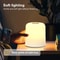 Rechargeable Touch Bedside Lamp, Dimmable LED Night Light for Bedroom, USB Table Lamps for Home Decor, Ideal Christmas