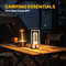 Creative Cordless LED Table Lamp, Portable Desk and Bedside Light, for Outdoor Camping, Restaurant Atmosphere