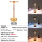 Rechargeable Wireless Table Lamp LED Touch Sensor Night Light Desktop Reading Lamp For Bedroom Bar 10