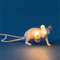 Modern Animal Desk Lamp, Cute Resin Night Light, Mouse Cat Squirrel Design, Home Decor Lighting