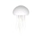 USB Rechargeable LED Night Light RGB Adjustable Color Jellyfish Lamp With Active Tentacles Polished 5