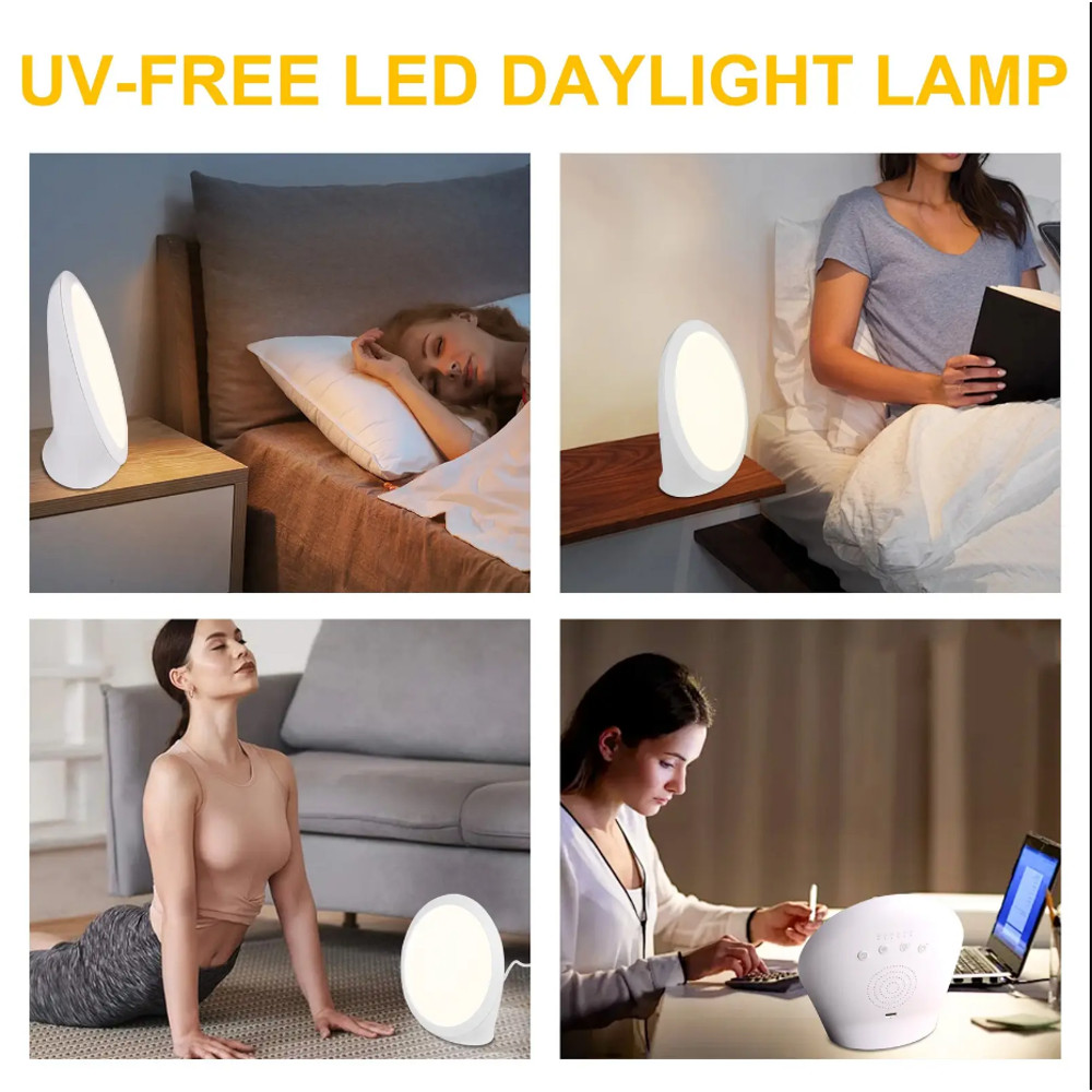 Portable Daylight Lamp, Lux Lamp with 6 Timer Settings, Adjustable Brightness, and Memory Function
