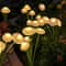 Solar Mushroom Lights, Dual Mode LED, Waterproof Garden Decor, Jellyfish Style for Patio, Yard, and Pathway ambience