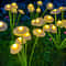 Solar Mushroom Lights, Dual Mode LED, Waterproof Garden Decor, Jellyfish Style for Patio, Yard, and Pathway ambience