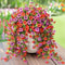 Simulated Eucalyptus and Morning Glory Vines, Artificial Flowers for Home, Outdoor, and Garden Decoration