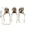 Adorable Hanging Skeleton, Resin Home Decor, Perfect for Halloween, Easter, and Hanukkah, Indoor Outdoor Use