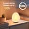 Portable Egg Shape Night Light USB Rechargeable Changing RGB Remote And Touch Control Dimmable Ambi 0