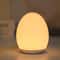 Portable Egg Shape Night Light USB Rechargeable Changing RGB Remote And Touch Control Dimmable Ambi 2