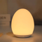 Portable Egg Shape Night Light USB Rechargeable Changing RGB Remote And Touch Control Dimmable Ambi 2
