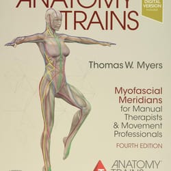 anatomy trains 4th edition