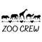 Zoo Crew Svg Clip Art Teacher Shirt Svg Squad Svg Crew Svg.jpg