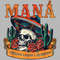 Mana Mexico Lindo Y Querido Tour 2024 Png Mana Band Png Mana Tour 2024 Png.jpg