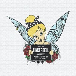 tinkerbell gothic girl possession of fairy dust png