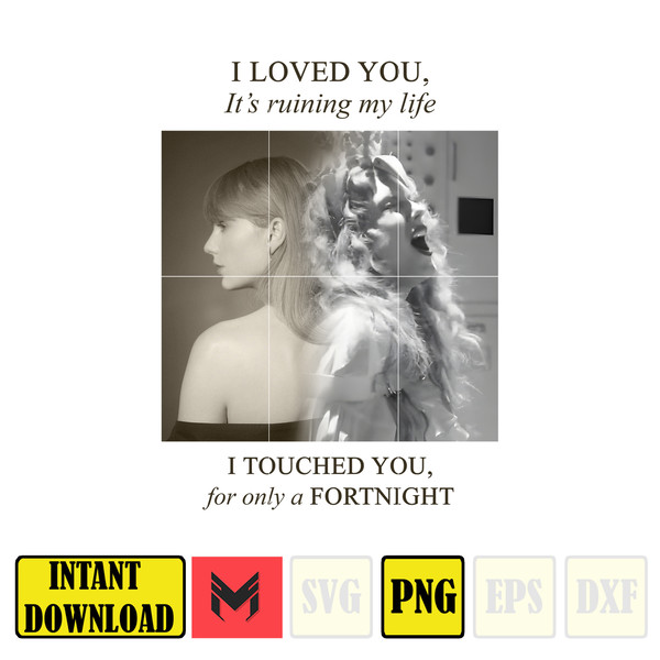 I Loved You It's Ruining My Life, I Touched You For Only A Fortnight Png.jpg