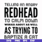 FN000433-Telling an angry redhead to calm down works about as well as trying to baptize a cat svg, png, dxf, eps file FN000433.jpg