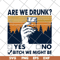 FN11062108- Are We Drunk Yes No Bitch We Might Be Vintage svg, png, dxf, eps digital file FN11062108.jpg