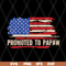 FTD08062119-Promoted to papaw American flag father’s day 2021 svg, png, dxf, eps digital file FTD08062119.jpg