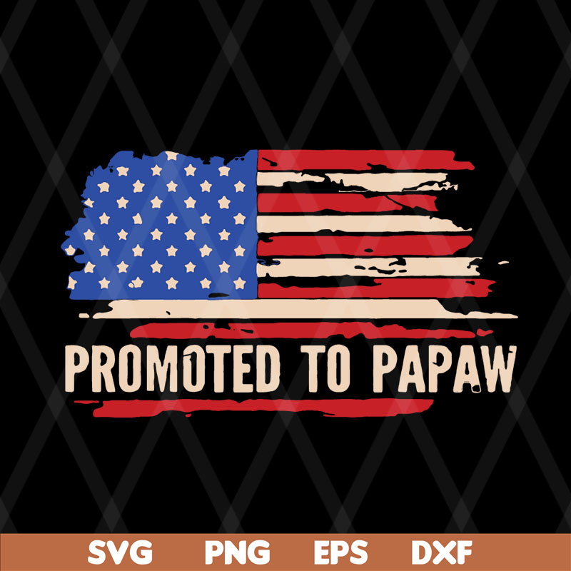 FTD08062119-Promoted to papaw American flag father’s day 2021 svg, png, dxf, eps digital file FTD08062119.jpg