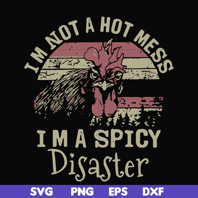 FN000129-I'm not a hot mess I'm a spicy disaster svg, png, dxf, eps file FN000129.jpg