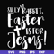 FN00050-Silly rabbit Easter is for Jesus svg, png, dxf, eps file FN00050.jpg