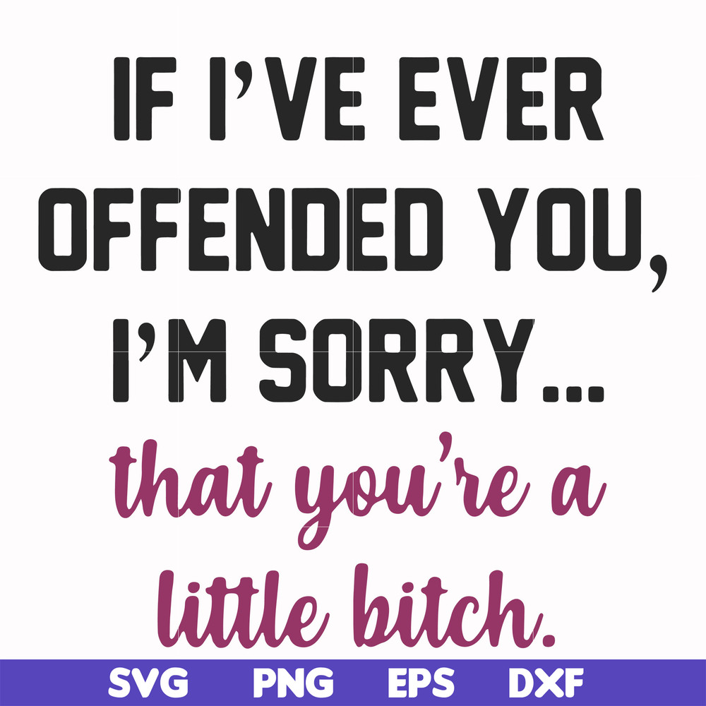 FN000506-If I've ever offended you I'm sorry that you're a little bitch svg, png, dxf, eps file FN000506.jpg