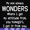 FN000329-My mom always wonders where I get my attitude from you homegirl i get it from you svg, png, dxf, eps file FN000329.jpg