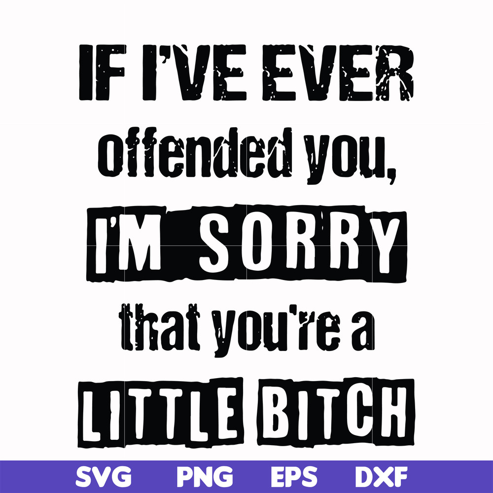 FN000663-If I've ever offended you Im sorry that you're a little bitch svg, png, dxf, eps file FN000663.jpg