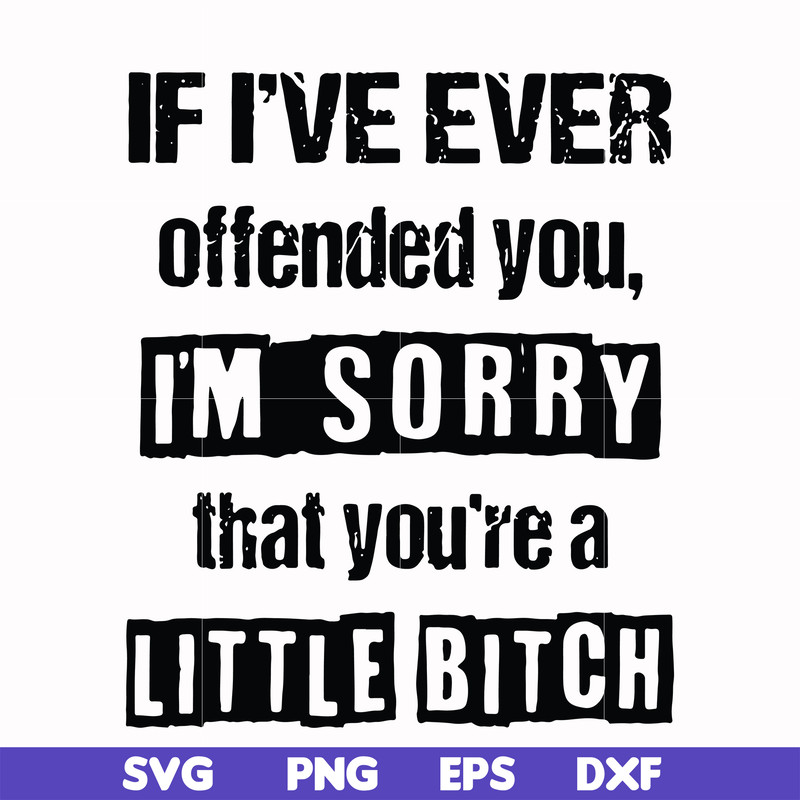 FN000663-If I've ever offended you Im sorry that you're a little bitch svg, png, dxf, eps file FN000663.jpg