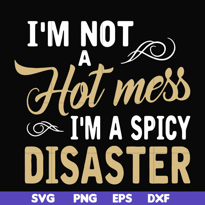 FN00080-I'm not a hot mess I'm a spicy disaster svg, png, dxf, eps file FN00080.jpg