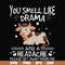 FN000183-You smell like drama and a headache please get away from me svg, png, dxf, eps file FN000183.jpg