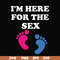 OTH0022-I am here for the sex svg, png, dxf, eps digital file OTH0022.jpg