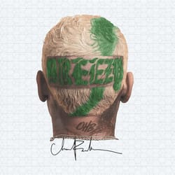 chris brown breezy 2024 concert png