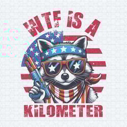 wtf is a kilometer raccoon meme png1