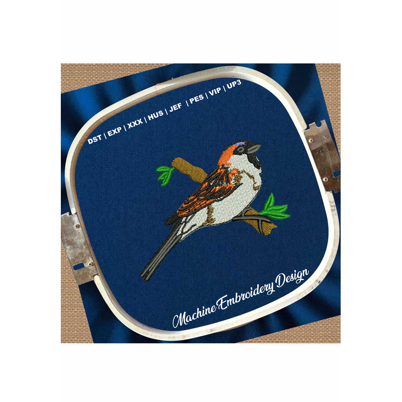 Sparrow bird image.png