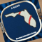 Baseball Florida map image.png