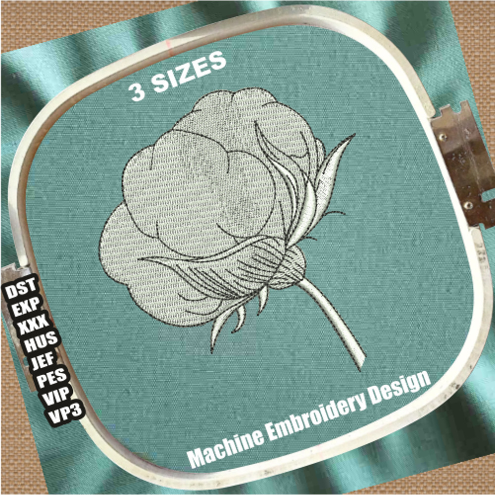 Cotton flower image.png