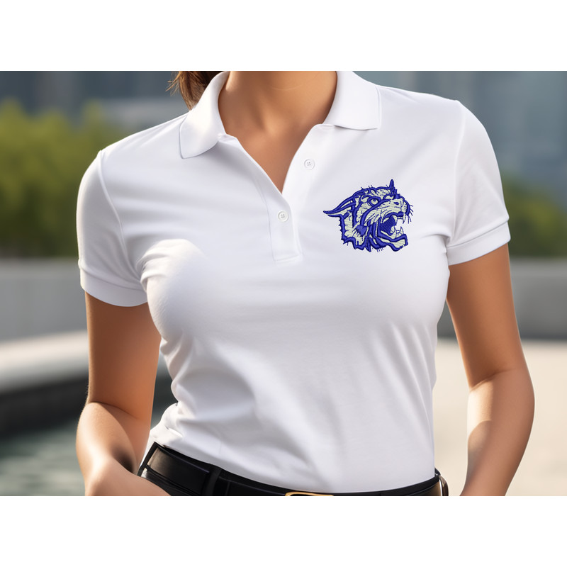 Wildcats 2 colors image4.png