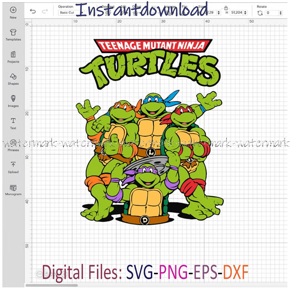 Ninja Turtle svg.jpg