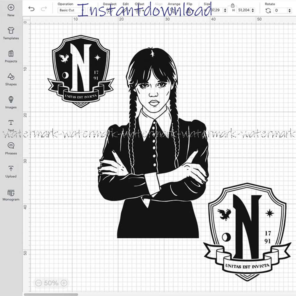 Wednesday Addams png.jpg