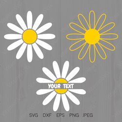 Daisy Svg White Flower Svg Cricut Downloads Silhouette Designs Daisy Flower Clipart Daisy Split Monogram Spring Svg