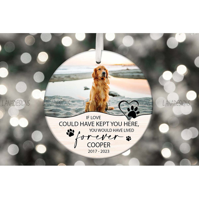 Dog Loss Memory Ornament PNG Pet Photo Memorial PNG Christmas Pet Memorial Ornament PNG Loss Of Dog