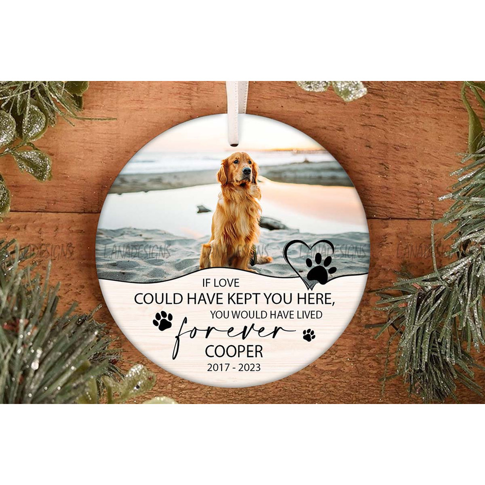 Dog Loss Memory Ornament PNG Pet Photo Memorial PNG Christmas Pet Memorial Ornament PNG Loss Of Dog
