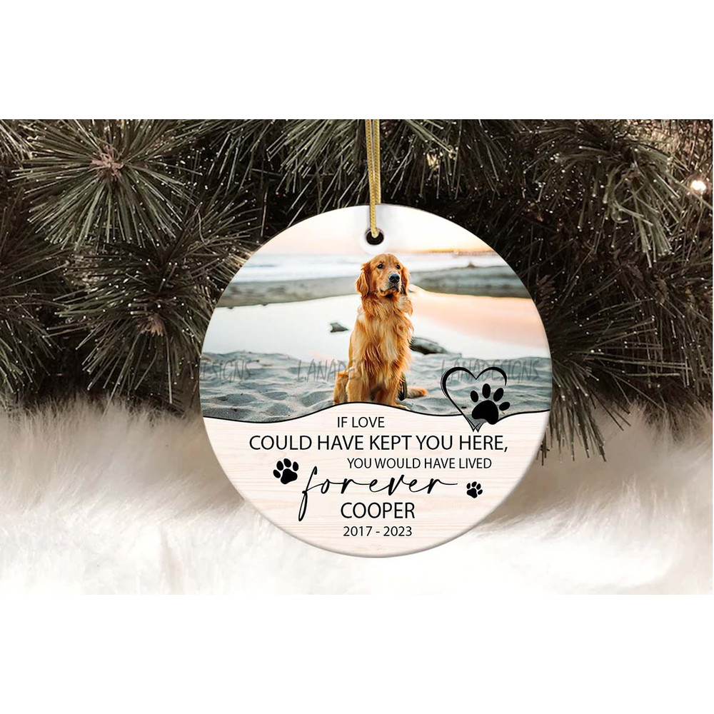 Dog Loss Memory Ornament PNG Pet Photo Memorial PNG Christmas Pet Memorial Ornament PNG Loss Of Dog