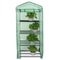 4Tier Walkin Greenhouse For Plants Seeds Flowers Durable Storage Shelves For Backyard Patio Balco 10