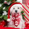 Santa Claus Snowman Dog Bandanas Christmas Plaid Pet Scarf Triangle Saliva Towel Holiday Pet Access 2