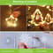 Window Decor for Indoor Christmas, Santa Claus LED Curtain Lights, Remote Control Lighting Modes